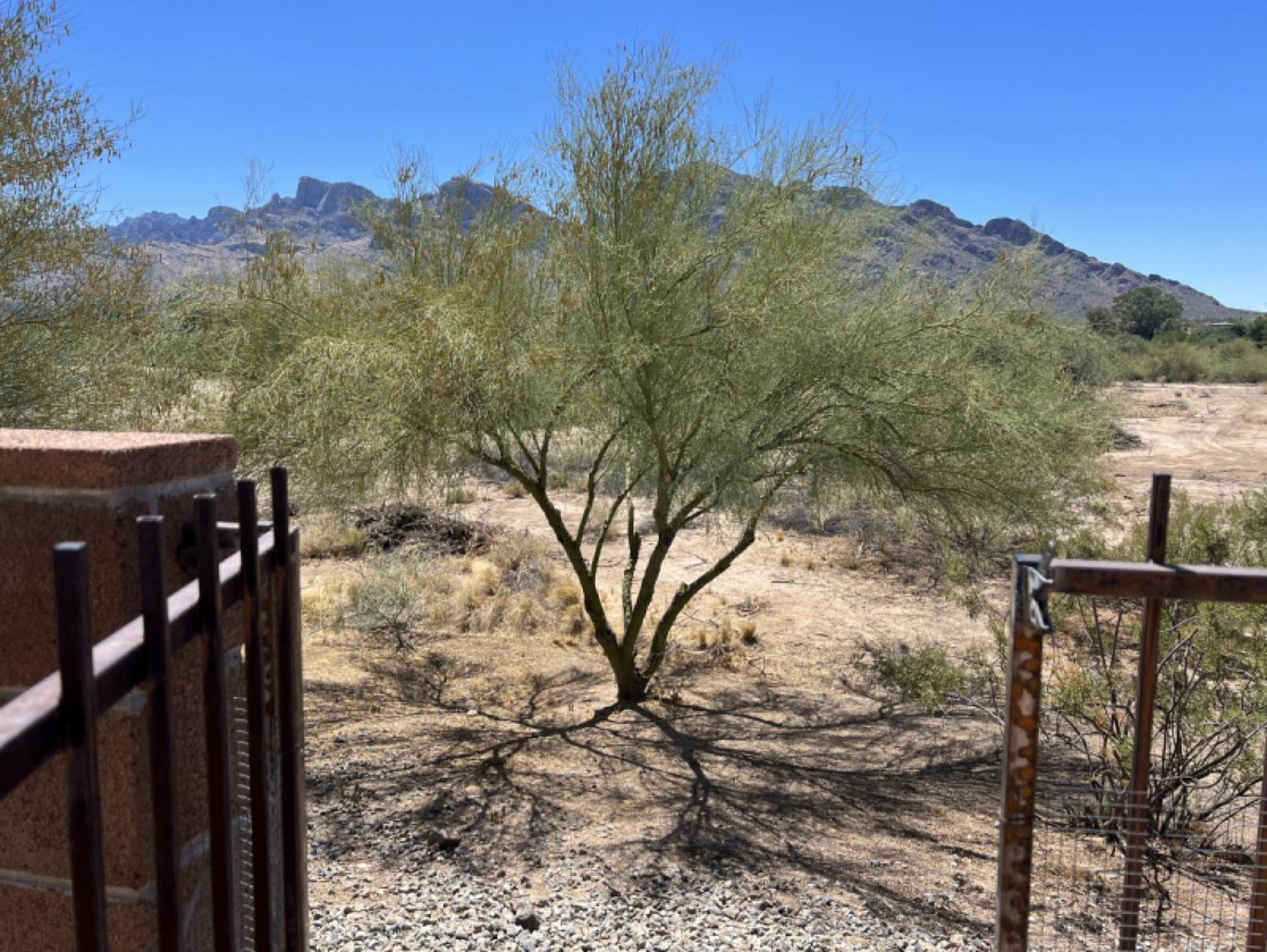 Private - Billiards, Mountain Views, Private Desert Access, Hoa Pool & Spa, Bbq, At Lambert Park - Bourbondale *