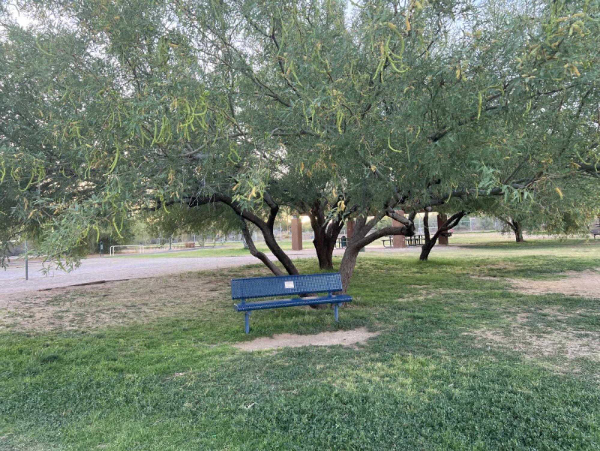Holiday home Private - Billiards, Mountain Views, Private Desert Access, Hoa Pool & Spa, Bbq, At Lambert Park - Bourbondale