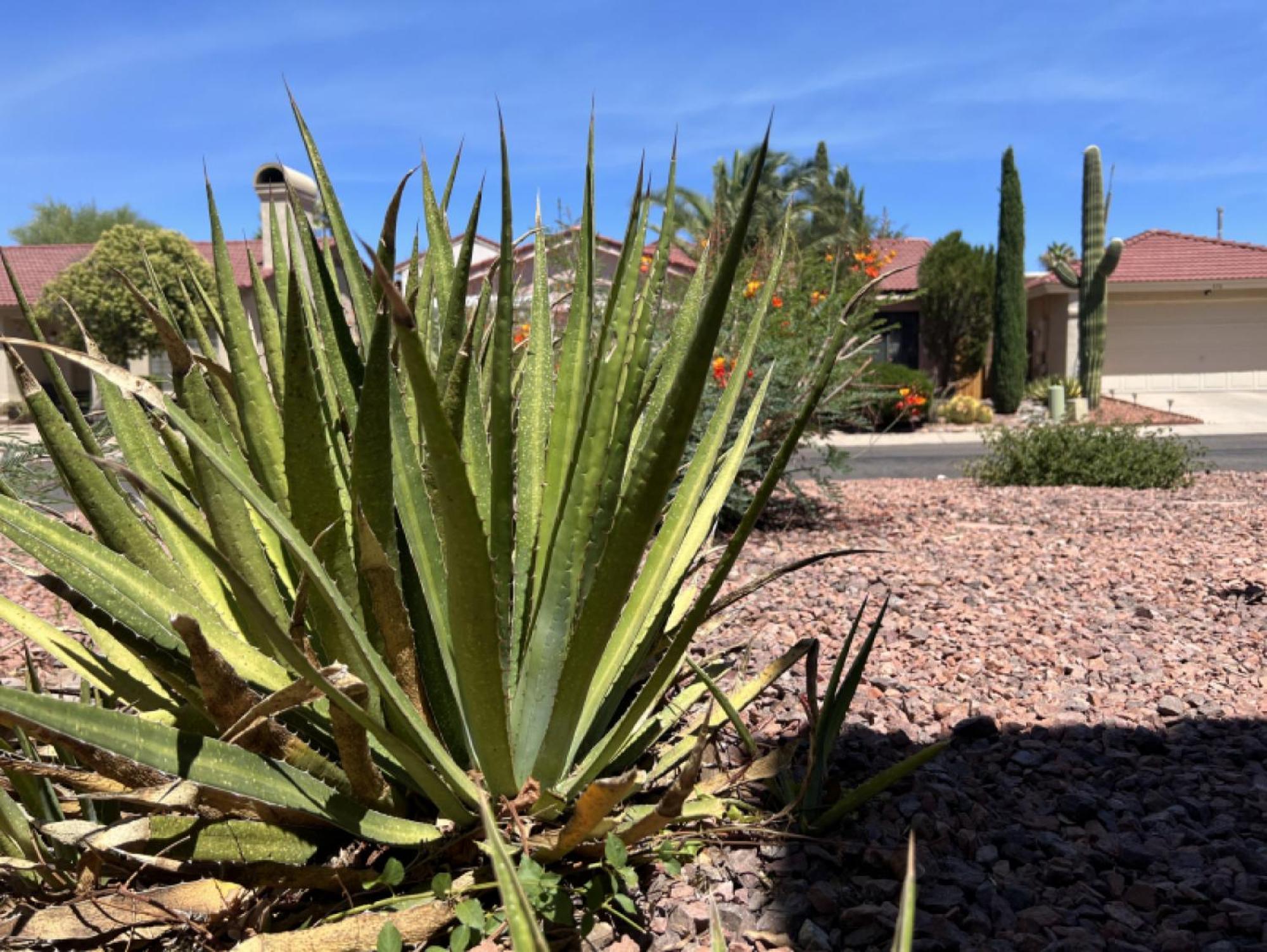 Private - Billiards, Mountain Views, Private Desert Access, Hoa Pool & Spa, Bbq, At Lambert Park - Bourbondale Holiday home Tucson
